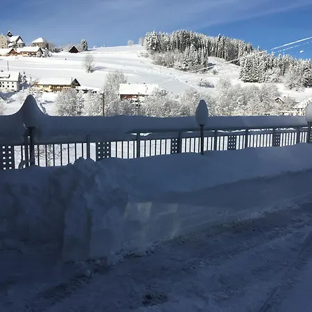 Gasthof Vogelbacher Hof - Dachsberg Im Südschwarzwald Vogelbach