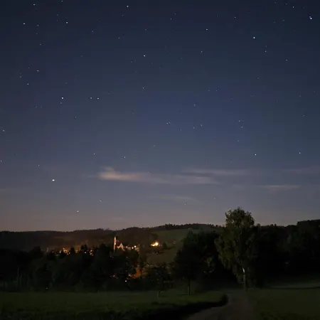 Pensjonat Vogelbacher Hof - Dachsberg Im Suedschwarzwald