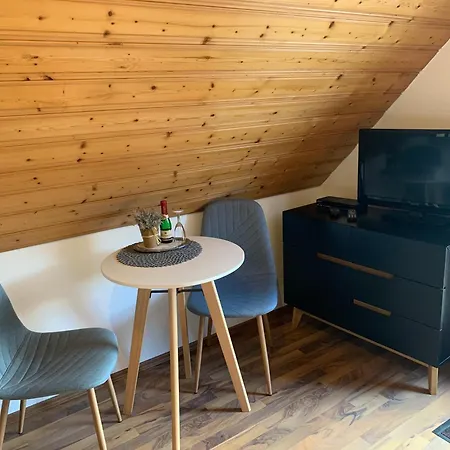 Gasthof Vogelbacher Hof - Dachsberg Im Südschwarzwald 3*
