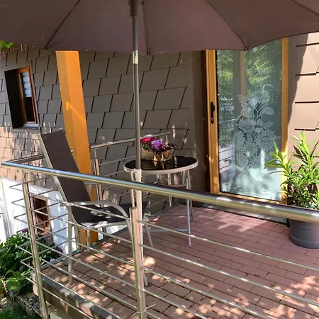 Vogelbacher Hof - Dachsberg Im Suedschwarzwald 3*