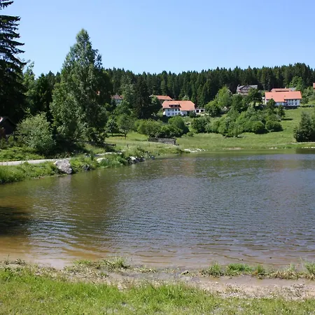 Vogelbacher Hof - Dachsberg Im Suedschwarzwald Vogelbach