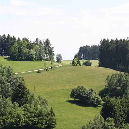Vogelbacher Hof - Dachsberg Im Suedschwarzwald