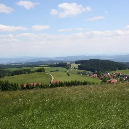 Vogelbacher Hof - Dachsberg Im Suedschwarzwald Pensjonat 3*