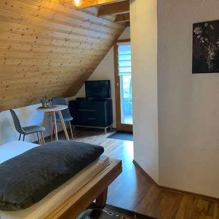 Pensjonat Vogelbacher Hof - Dachsberg Im Suedschwarzwald 3*