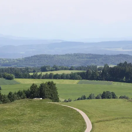 Vogelbacher Hof - Dachsberg Im Suedschwarzwald 3*