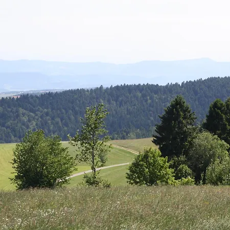 Vogelbacher Hof - Dachsberg Im Suedschwarzwald Vogelbach