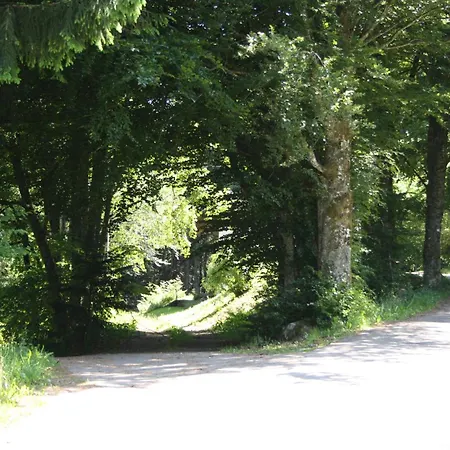 Vogelbacher Hof - Dachsberg Im Suedschwarzwald 3*