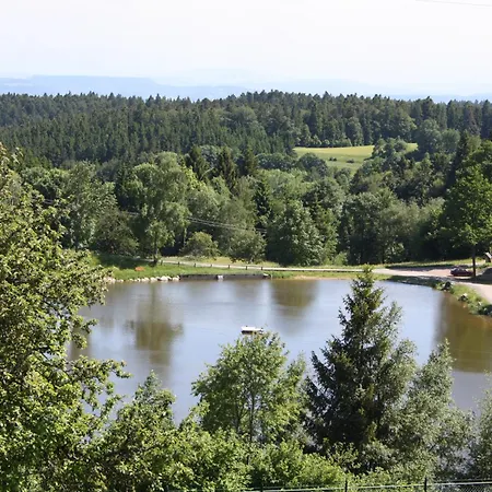 Pensjonat Vogelbacher Hof - Dachsberg Im Suedschwarzwald 3*