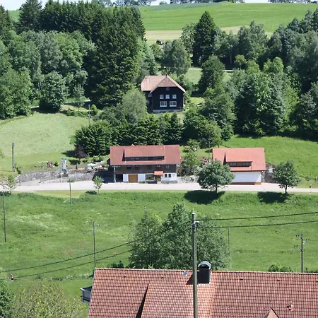 Pensjonat Vogelbacher Hof - Dachsberg Im Suedschwarzwald Vogelbach