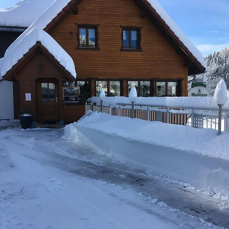 Pensjonat Vogelbacher Hof - Dachsberg Im Suedschwarzwald 3*